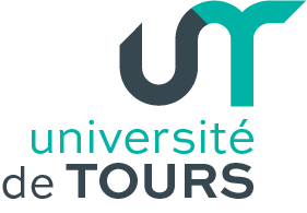 dsi univ tours